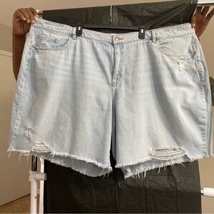 Lane Bryant 30/32 Light Washed Denim Shorts Summer Festival Raw Frayed